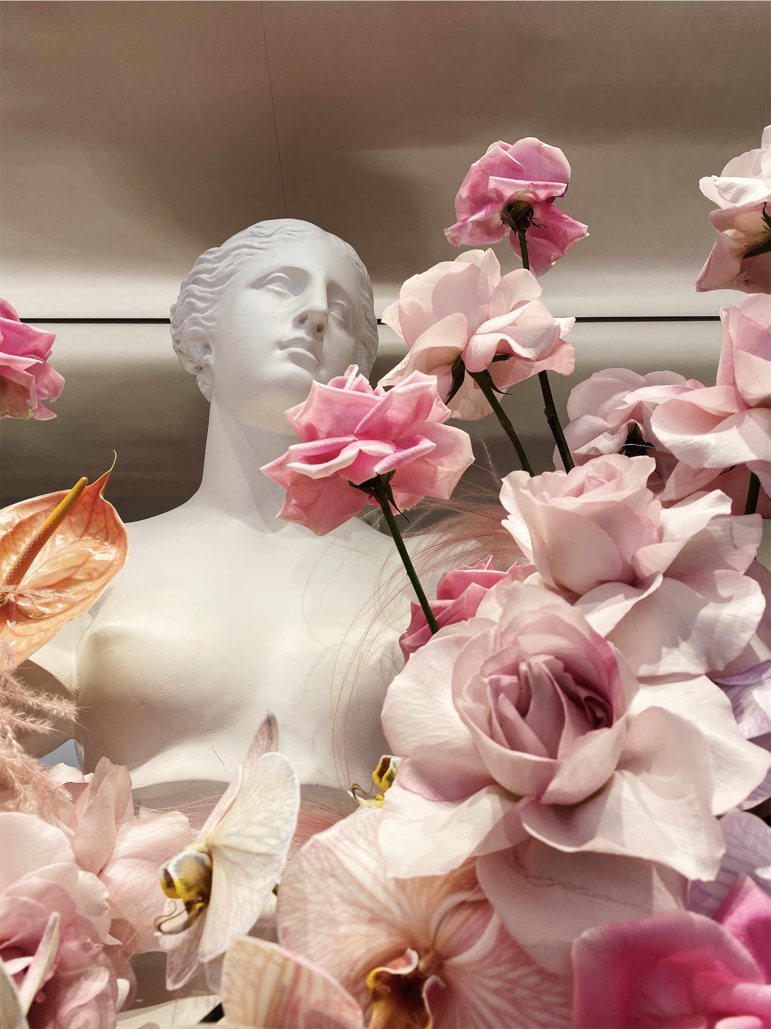 Glossier