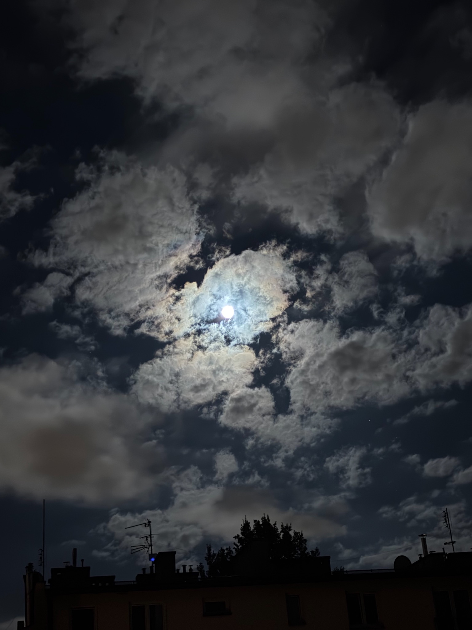 Moon