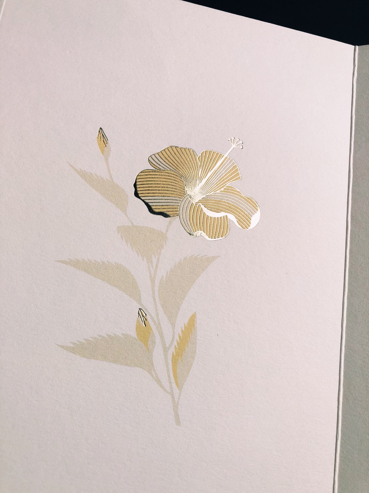 Foil